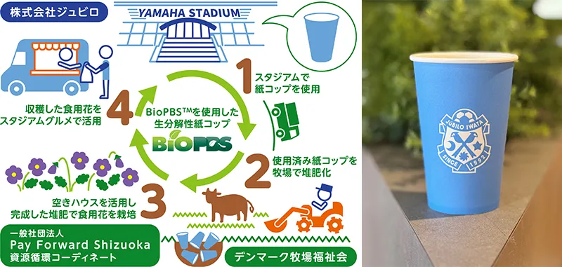 カップ取り組み画像 カップ取り組み画像