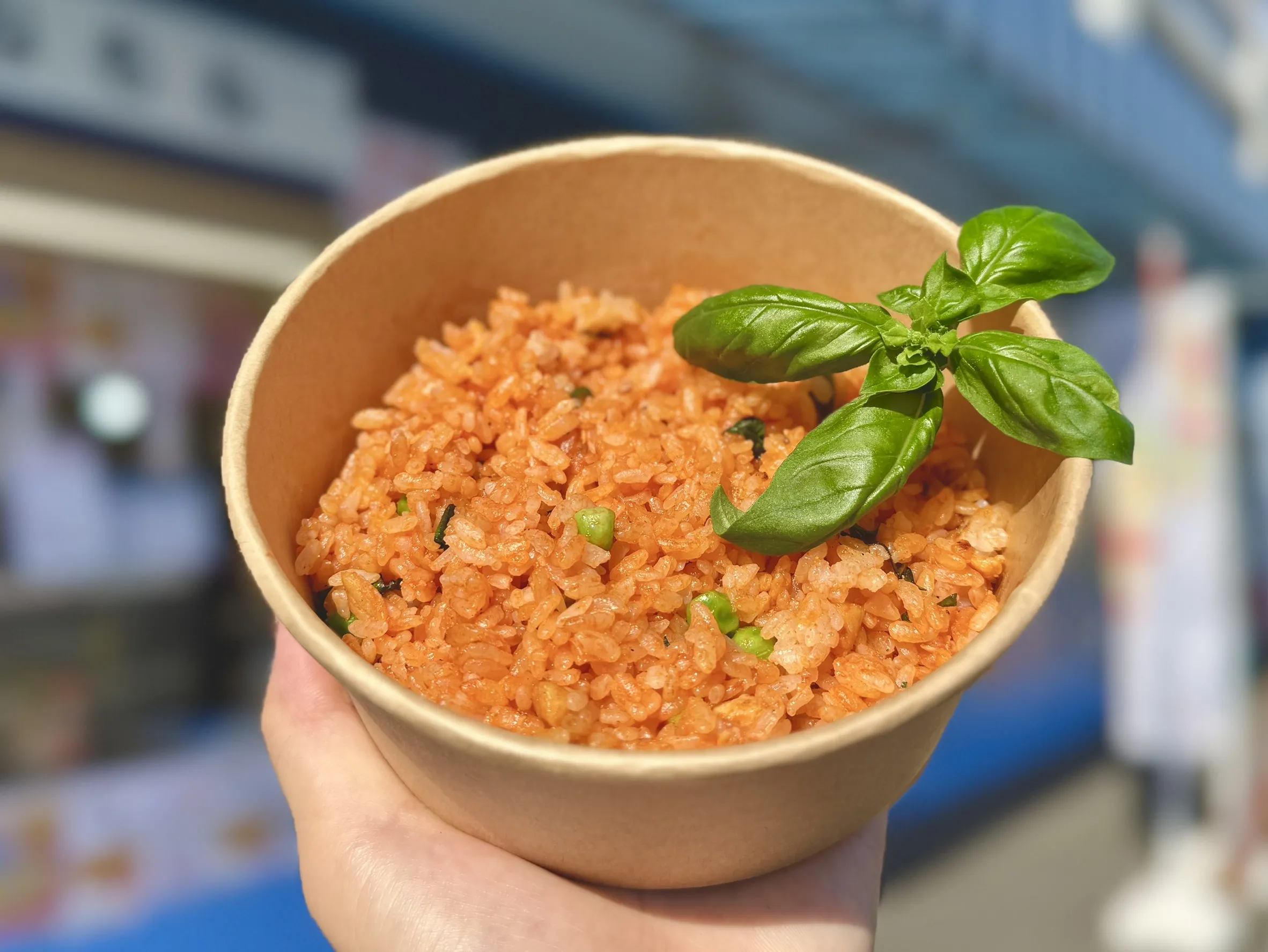 あねもね あねもね